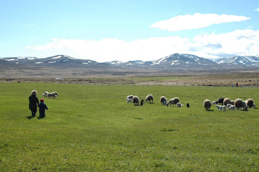 Ytra Lon Farm Retreat Villa Þórshöfn Esterno foto