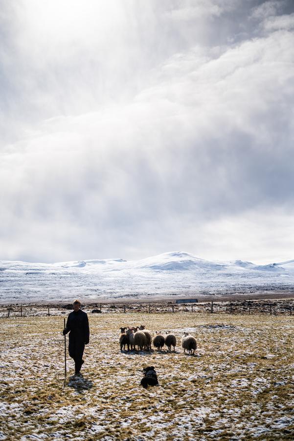 Ytra Lon Farm Retreat Villa Þórshöfn Esterno foto